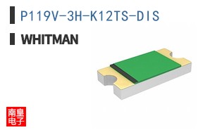 P119V-3H-K12TS-DIS ͼƬ
